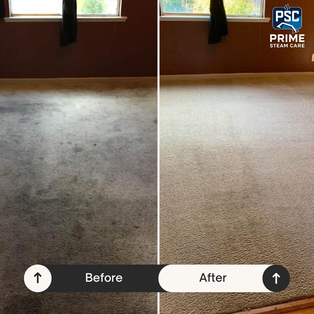 Prime Steam Care before and after visual 2